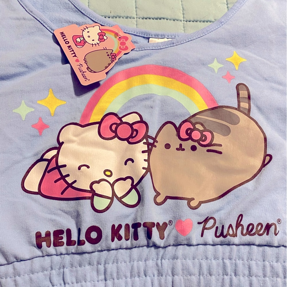NWT Hello Kitty 3X Plus size baby blue crop top/bra